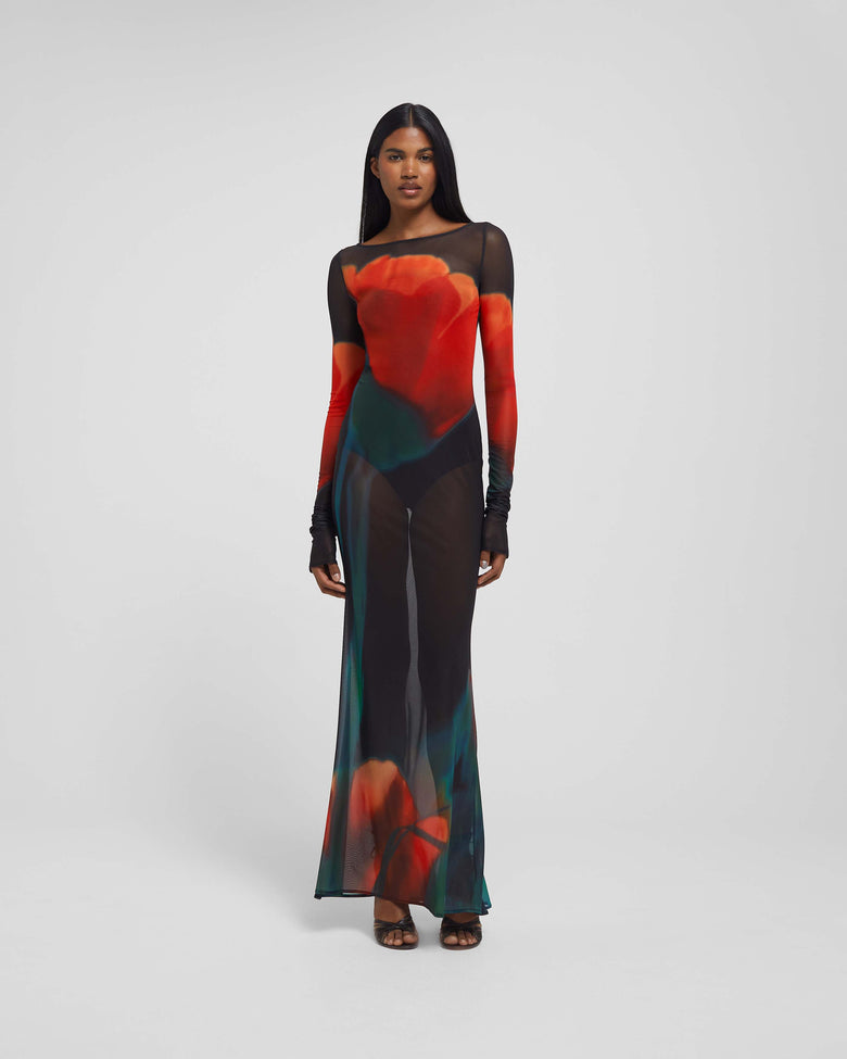 RB Juniper Sheer Maxi Dress