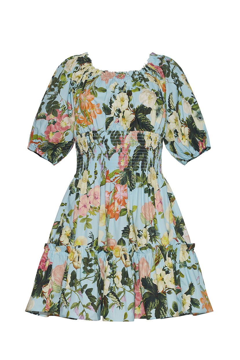 CC Sally Cotton Mini Dress in Light Blue Kingston Floral