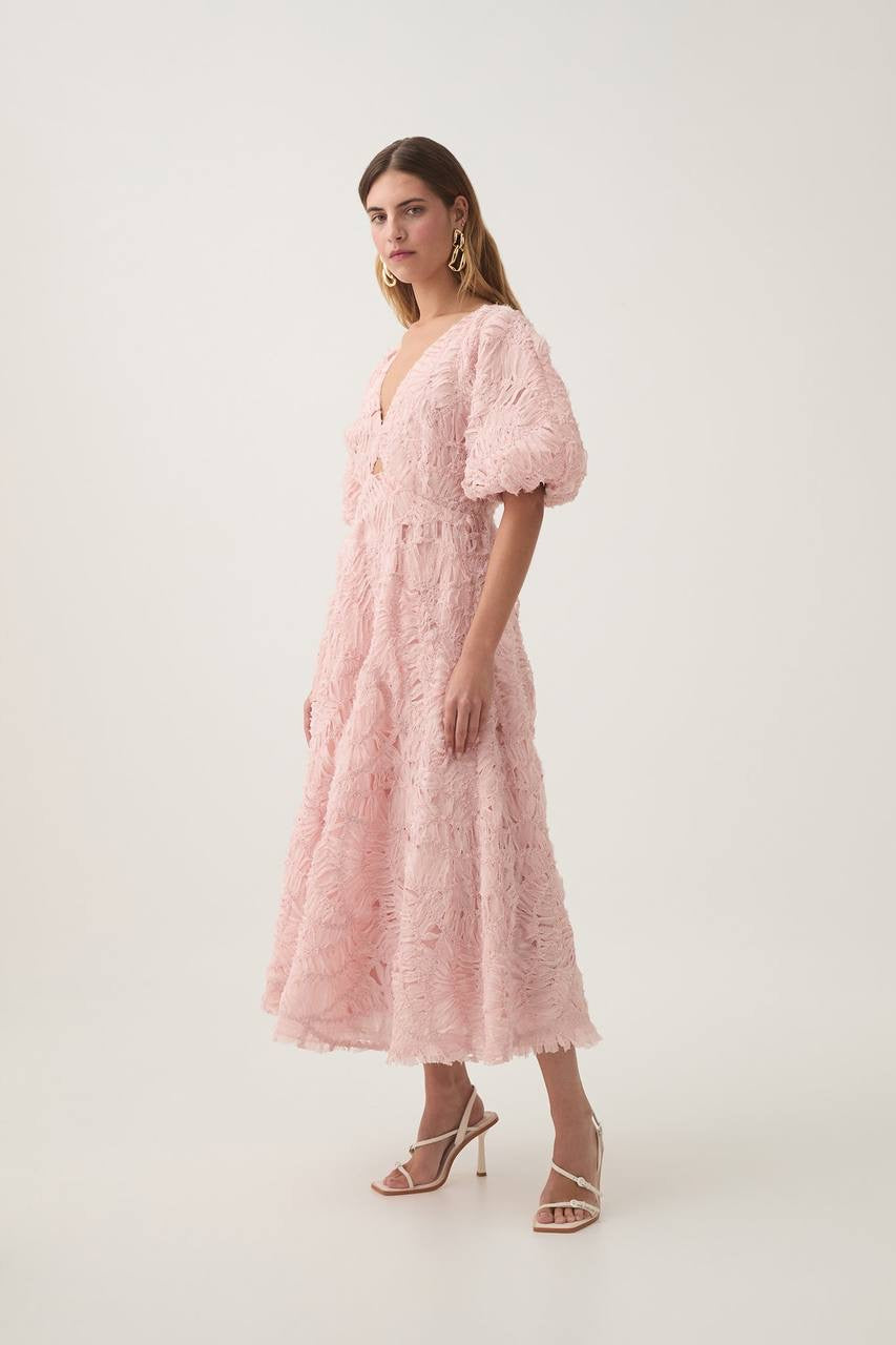 AJ Florential Textured Midi Dress