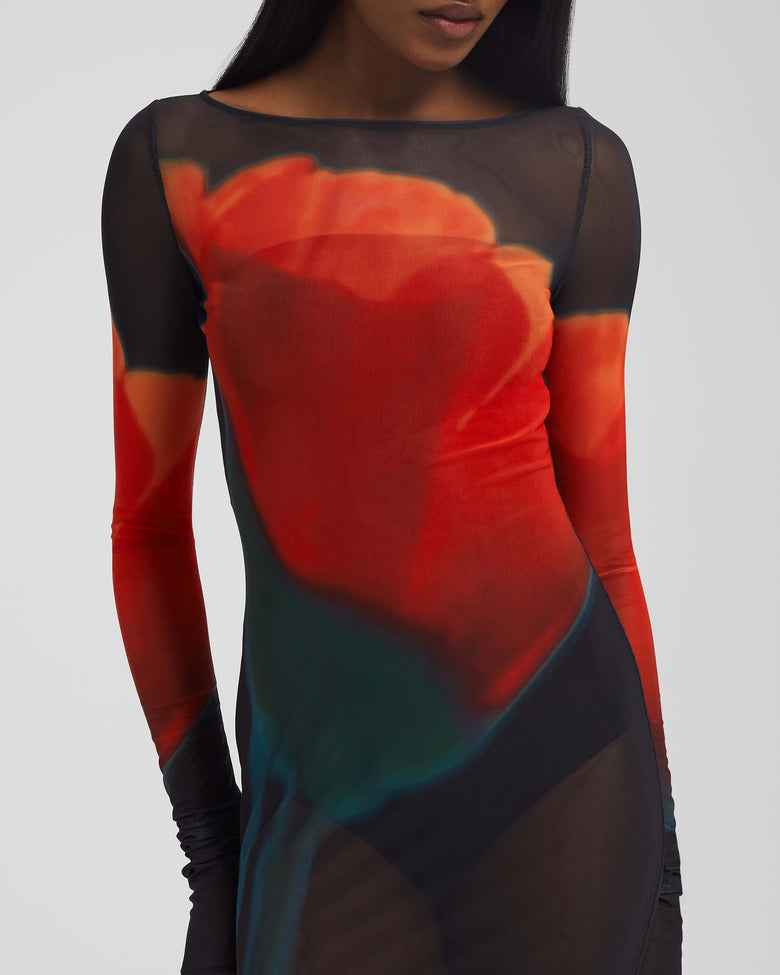 RB Juniper Sheer Maxi Dress