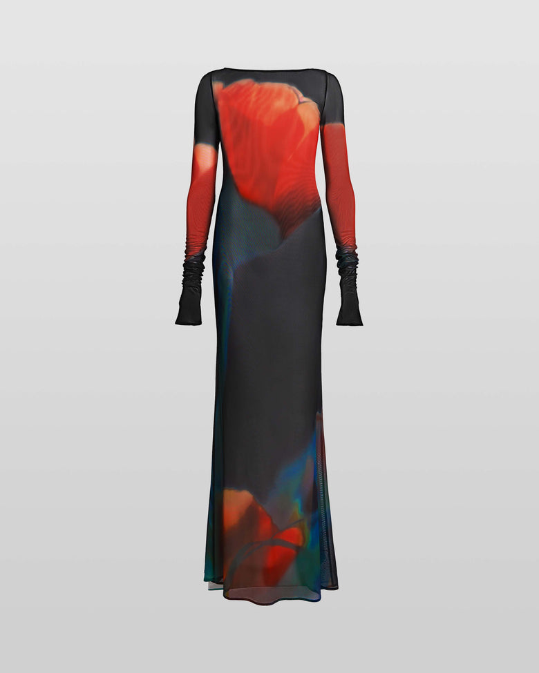 RB Juniper Sheer Maxi Dress
