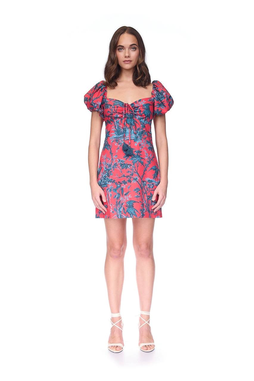 CC Gigi Cotton Poplin Mini Dress