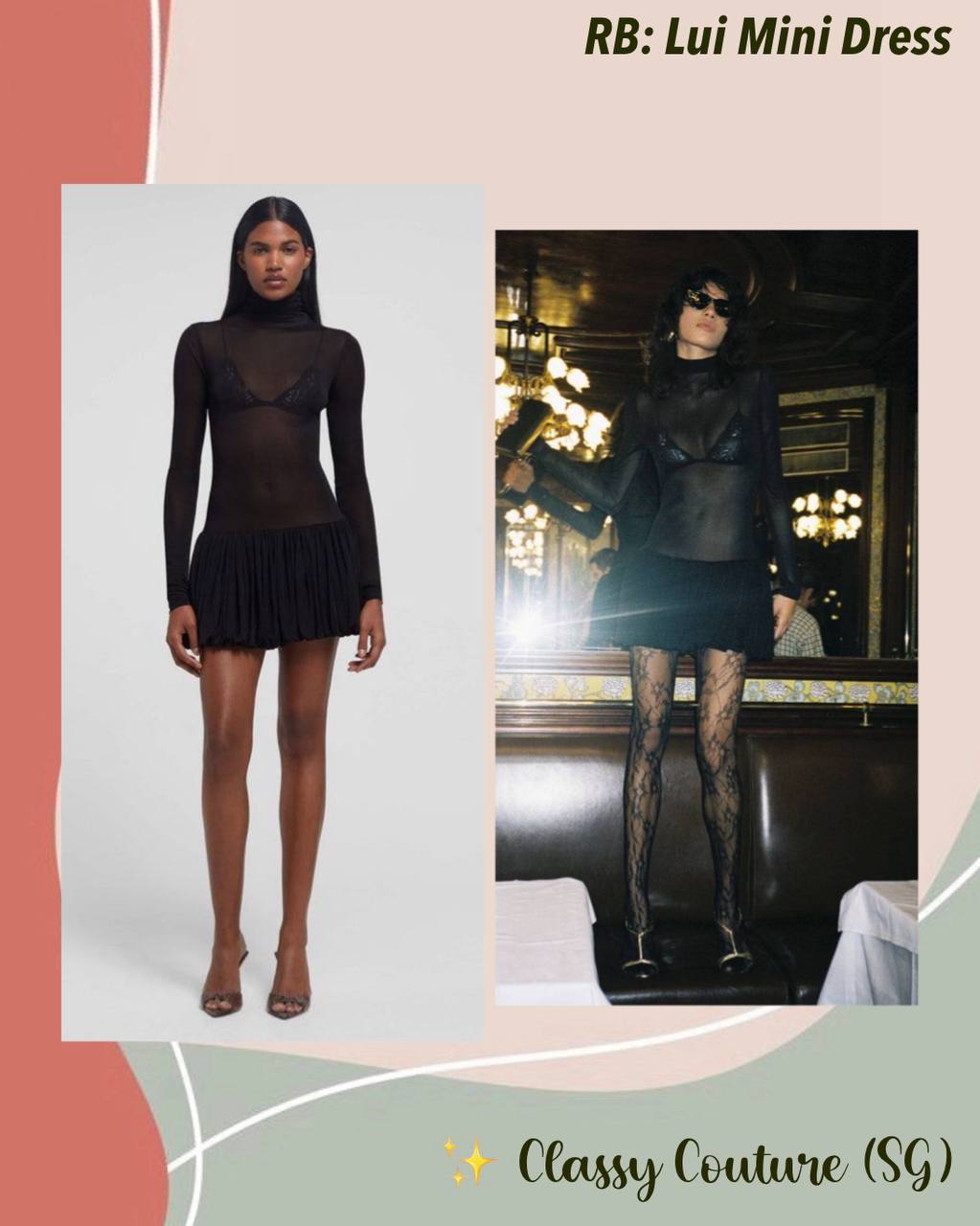RB Lui Sheer Mini Dress