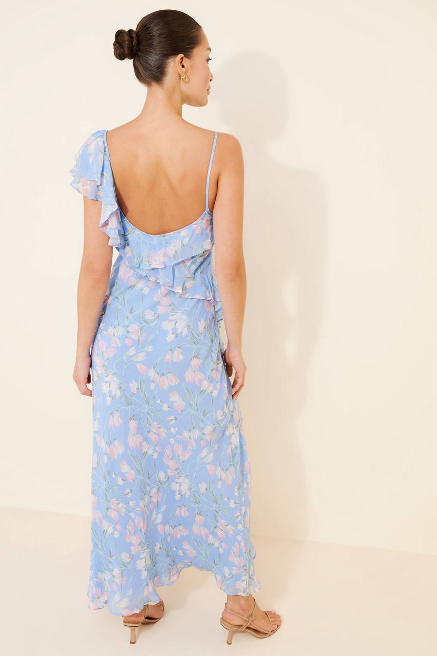 RX Ester Chiffon Maxi Dress