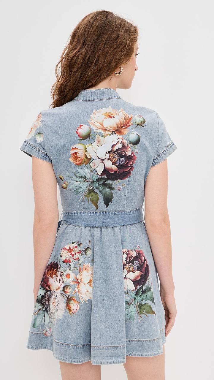 AO Lucy Mini Denim Shirt Dress
