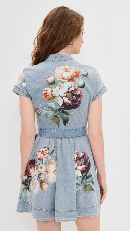 AO Lucy Mini Denim Shirt Dress