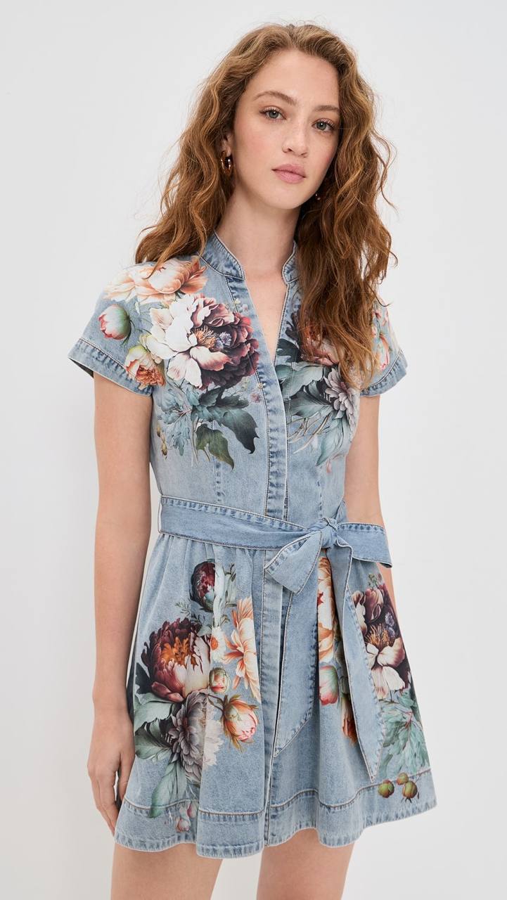 AO Lucy Mini Denim Shirt Dress