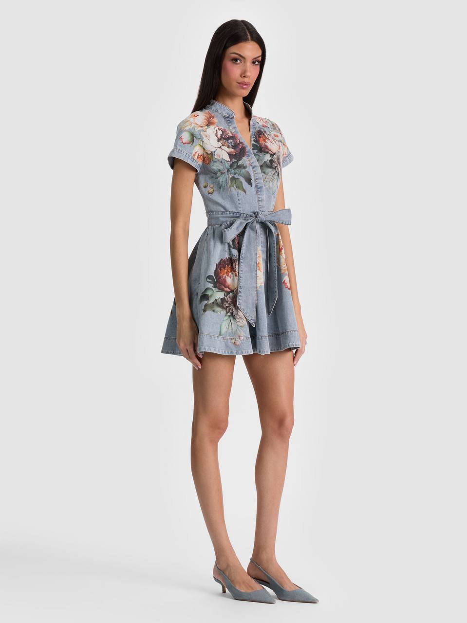 AO Lucy Mini Denim Shirt Dress