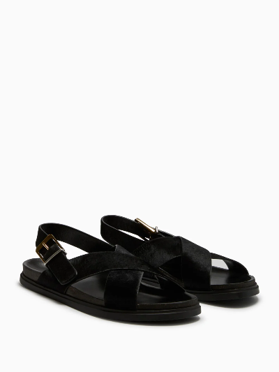TR Crossover Buckle Leather Sandals in Suede/Horsehair/Smooth Calfskin