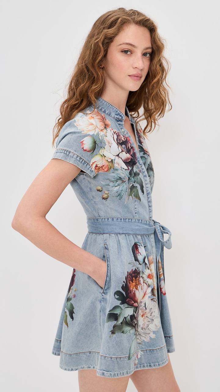 AO Lucy Mini Denim Shirt Dress