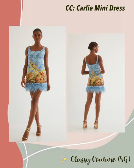 CC Carlie Cotton Mini Dress