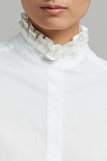 TG Boston Pleat Cotton Shirt