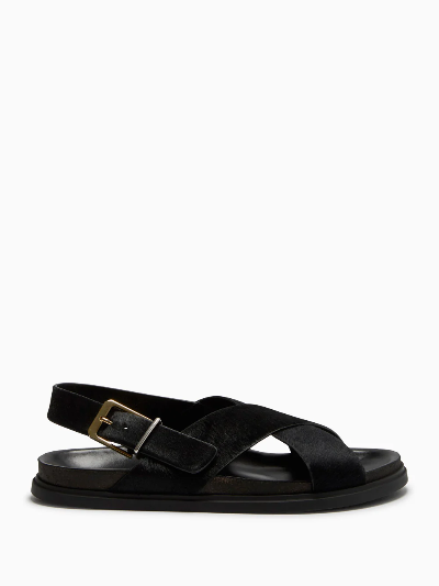 TR Crossover Buckle Leather Sandals in Suede/Horsehair/Smooth Calfskin