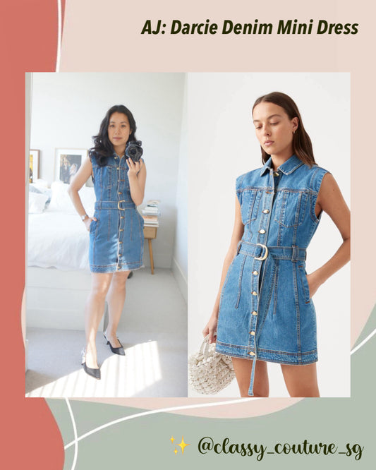 AJ Darcie Denim Mini Dress