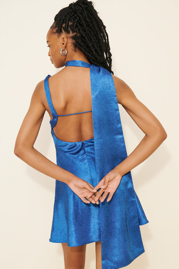 AMR Sami Cowl Neck Scarf Mini Dress in Blue Floral