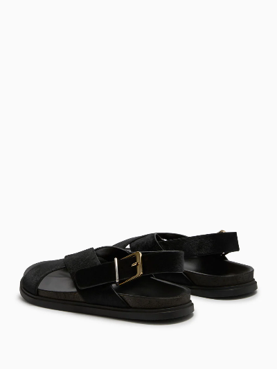 TR Crossover Buckle Leather Sandals in Suede/Horsehair/Smooth Calfskin