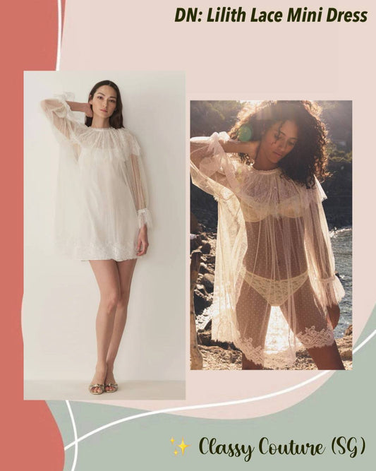 DN Lilith Sheer Lace Mini Dress (with inner slip)