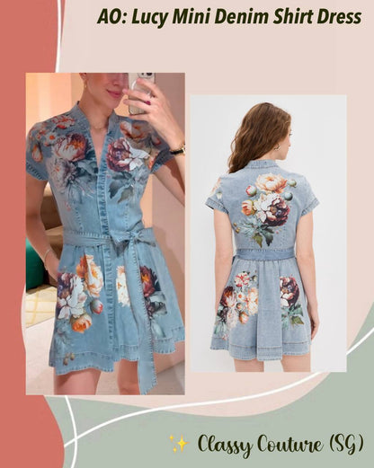 AO Lucy Mini Denim Shirt Dress