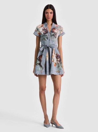 AO Lucy Mini Denim Shirt Dress