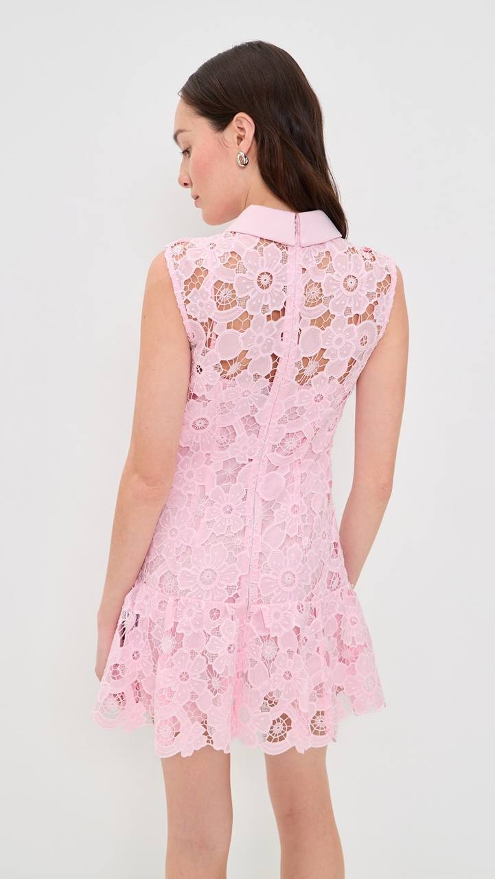 SP Pink Lace Collared Mini Dress