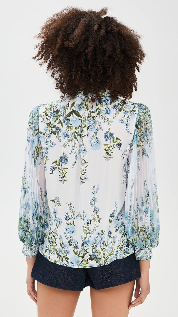 AO Ilan Pleated Top